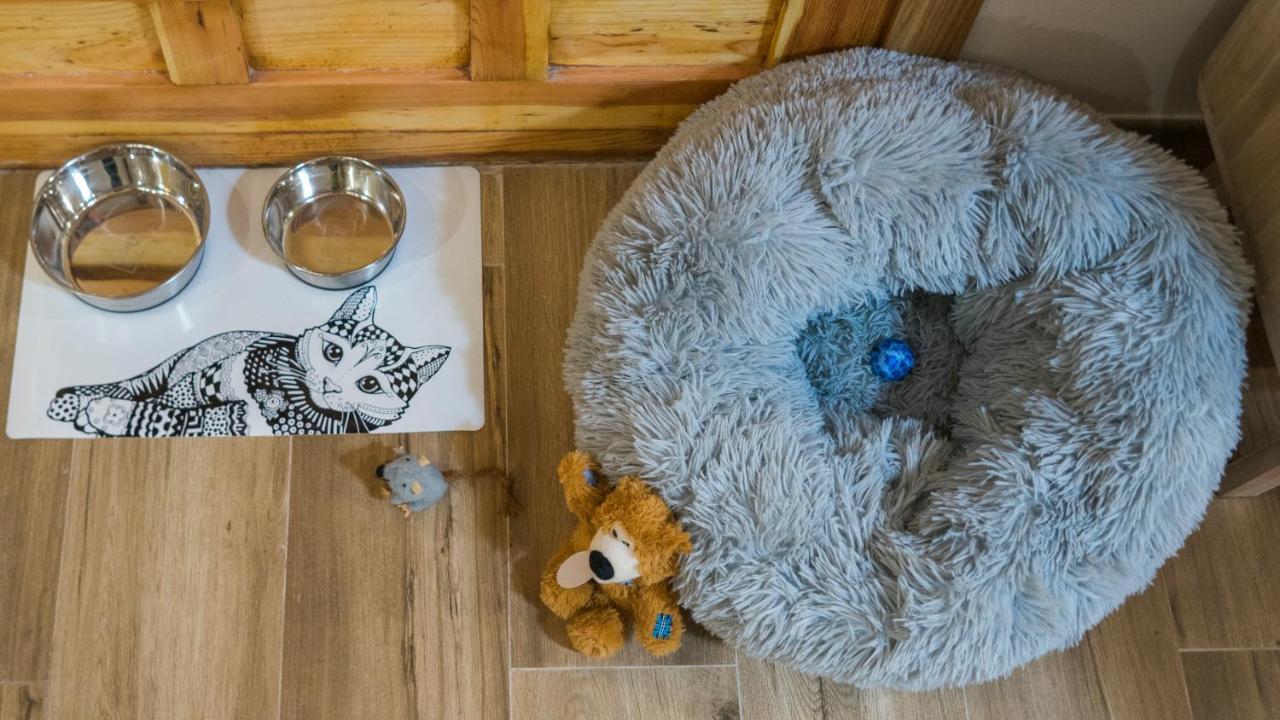 Apartamento Ruh Sara By Toledo Ap Екстериор снимка